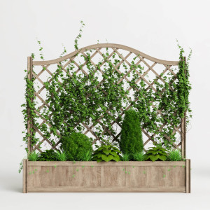 noveny-tamogato-racs.jp